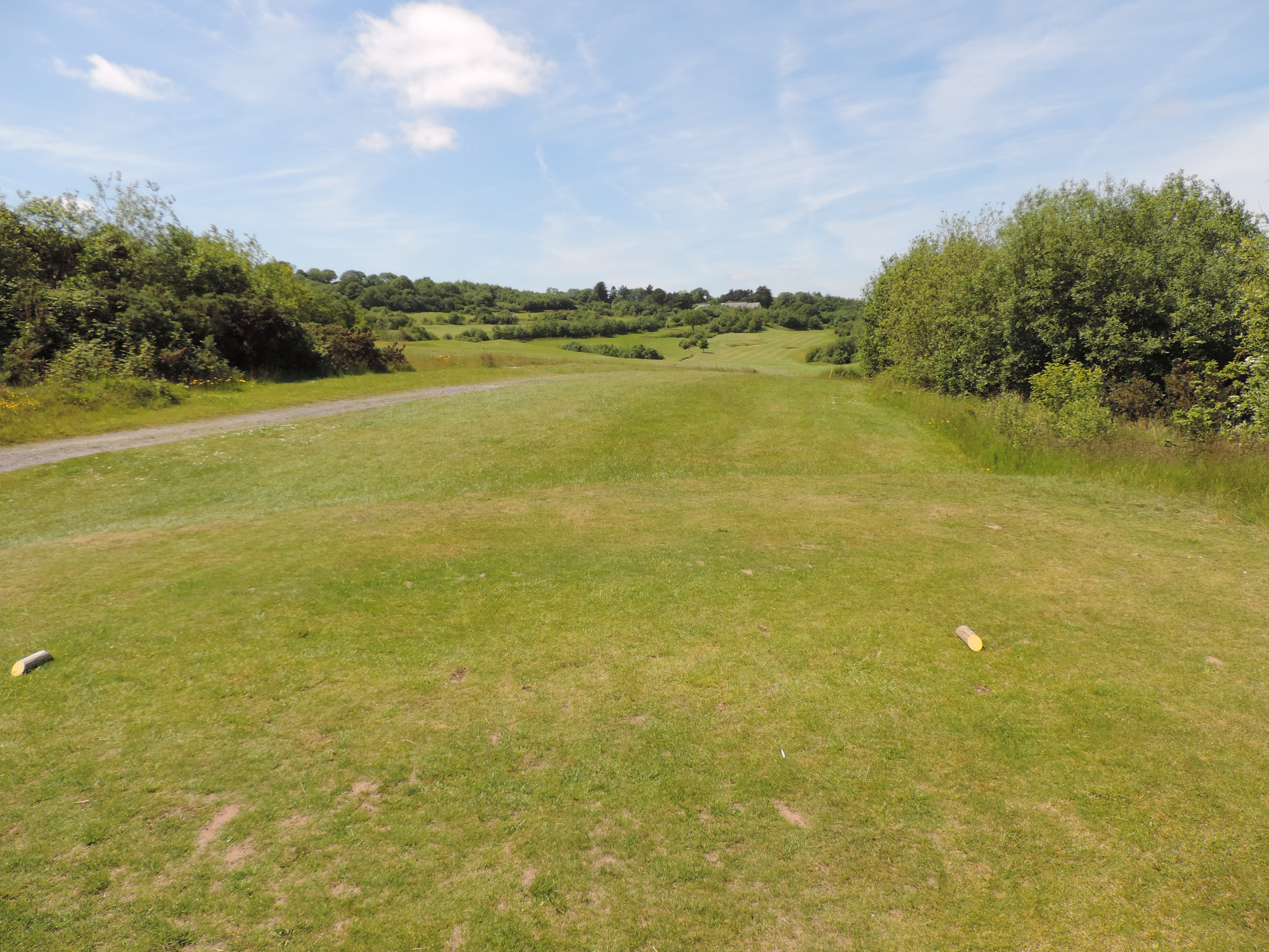 Hole 12 Tee Box