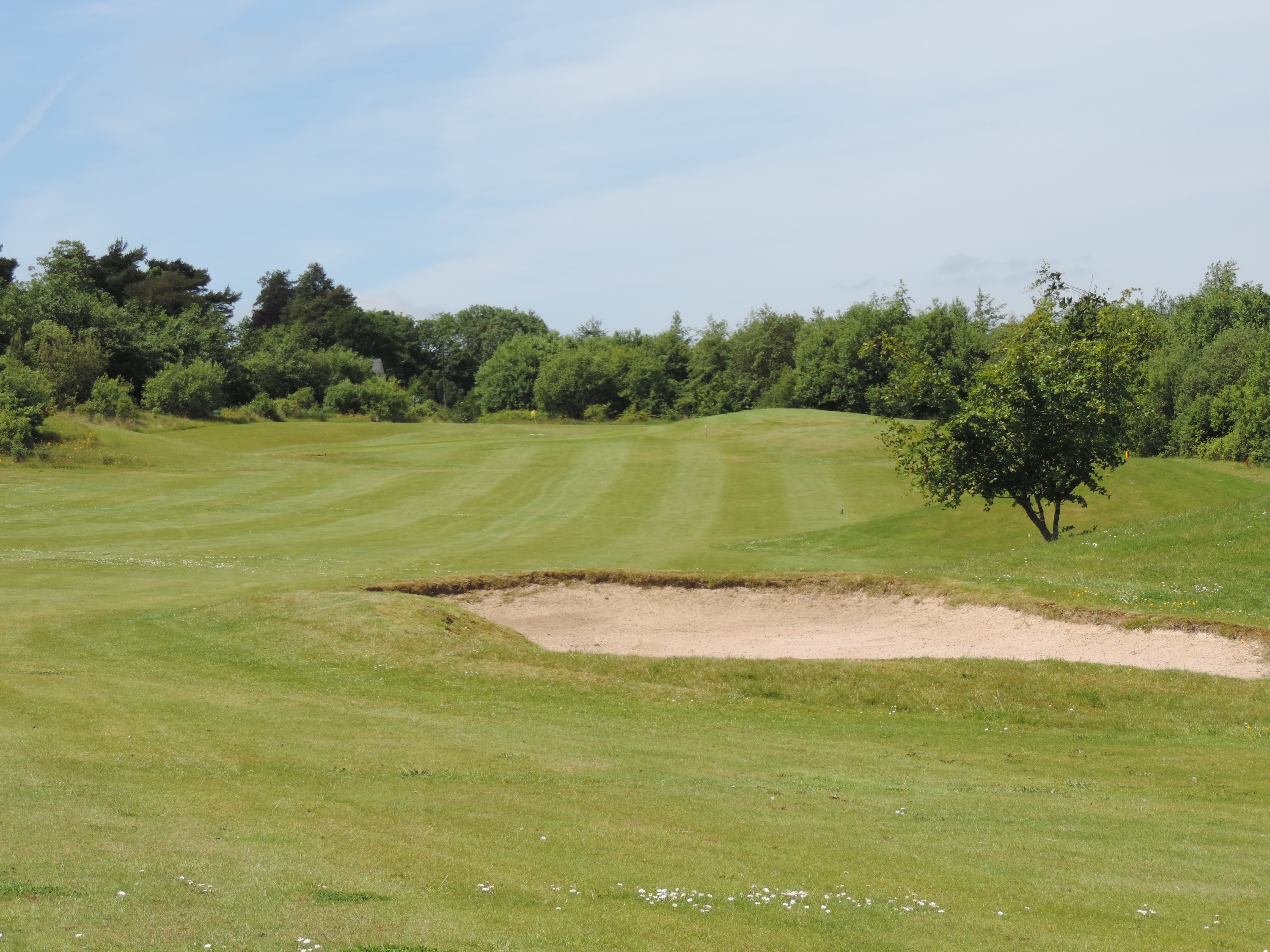 Hole 14 Fairway