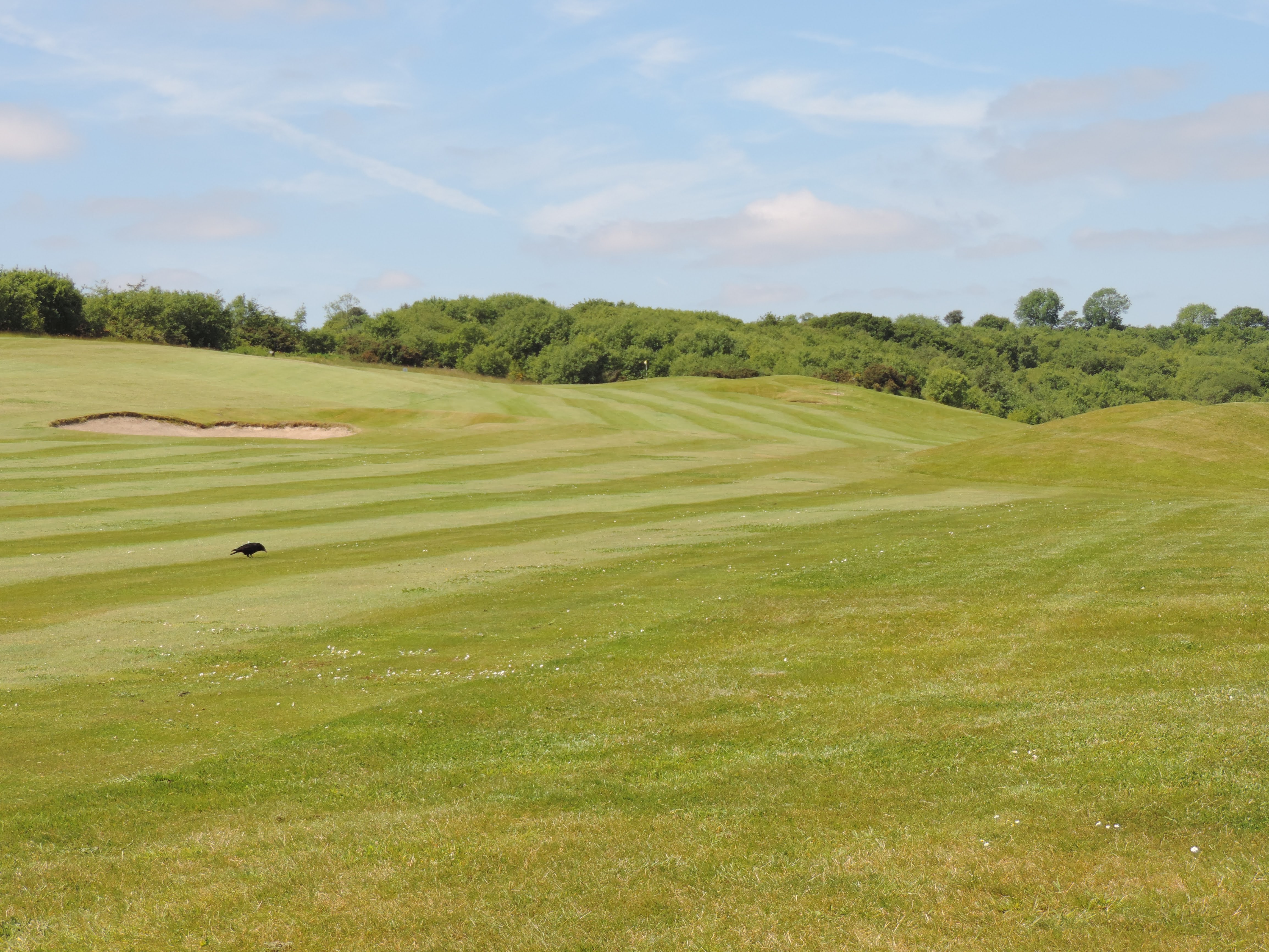 Hole 1 Fairway