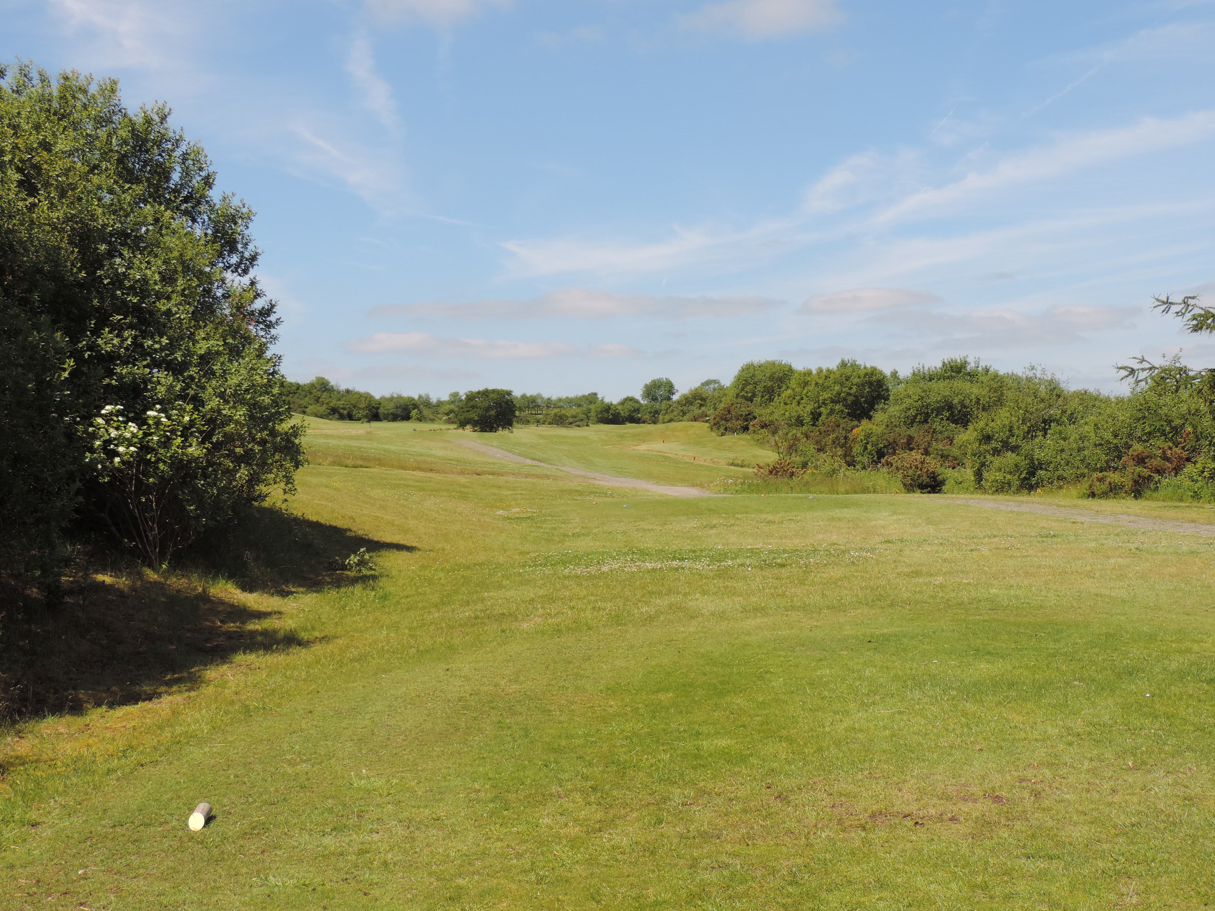 Hole 2 Tee Box