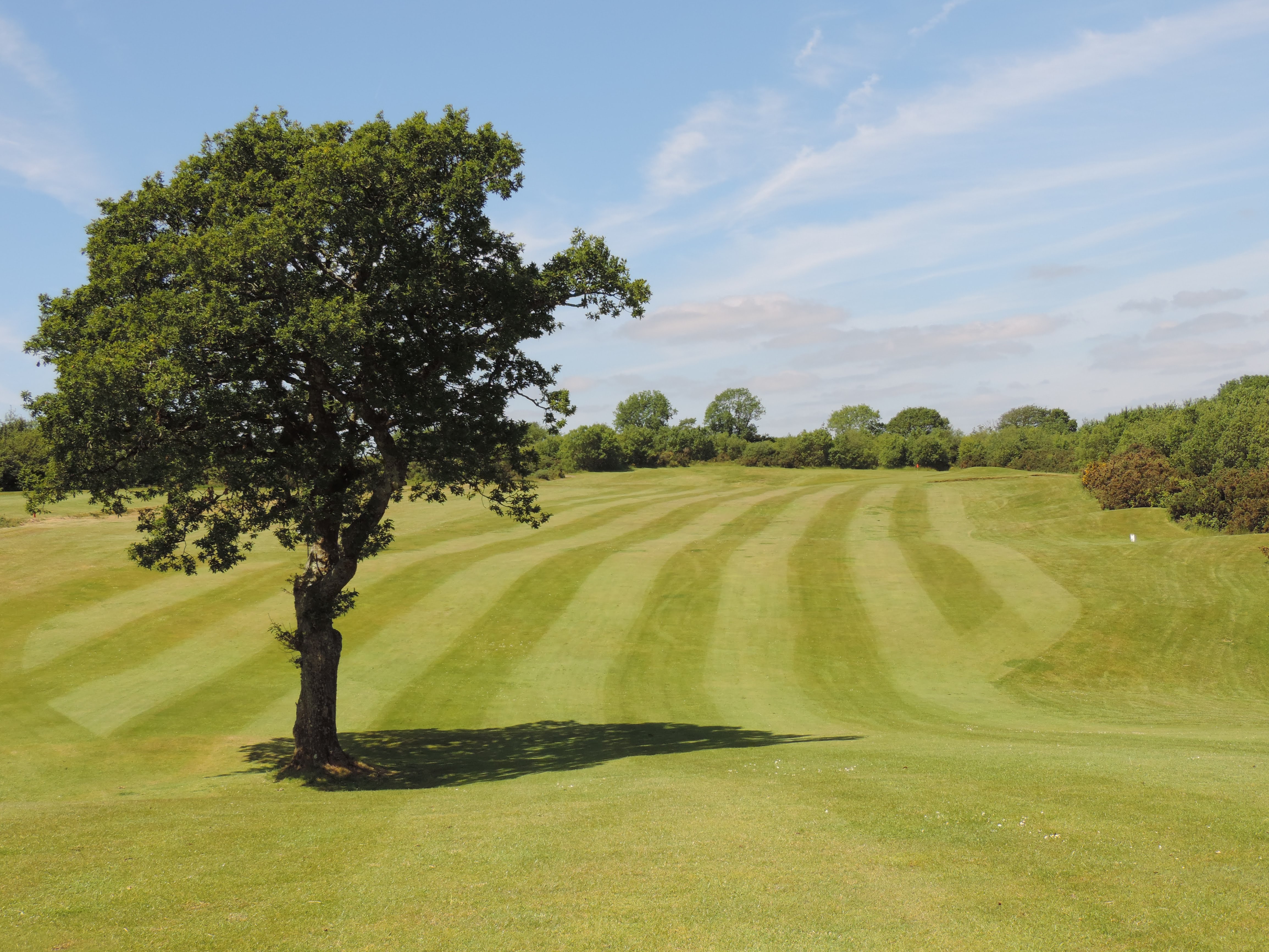 Hole 2 Fairway