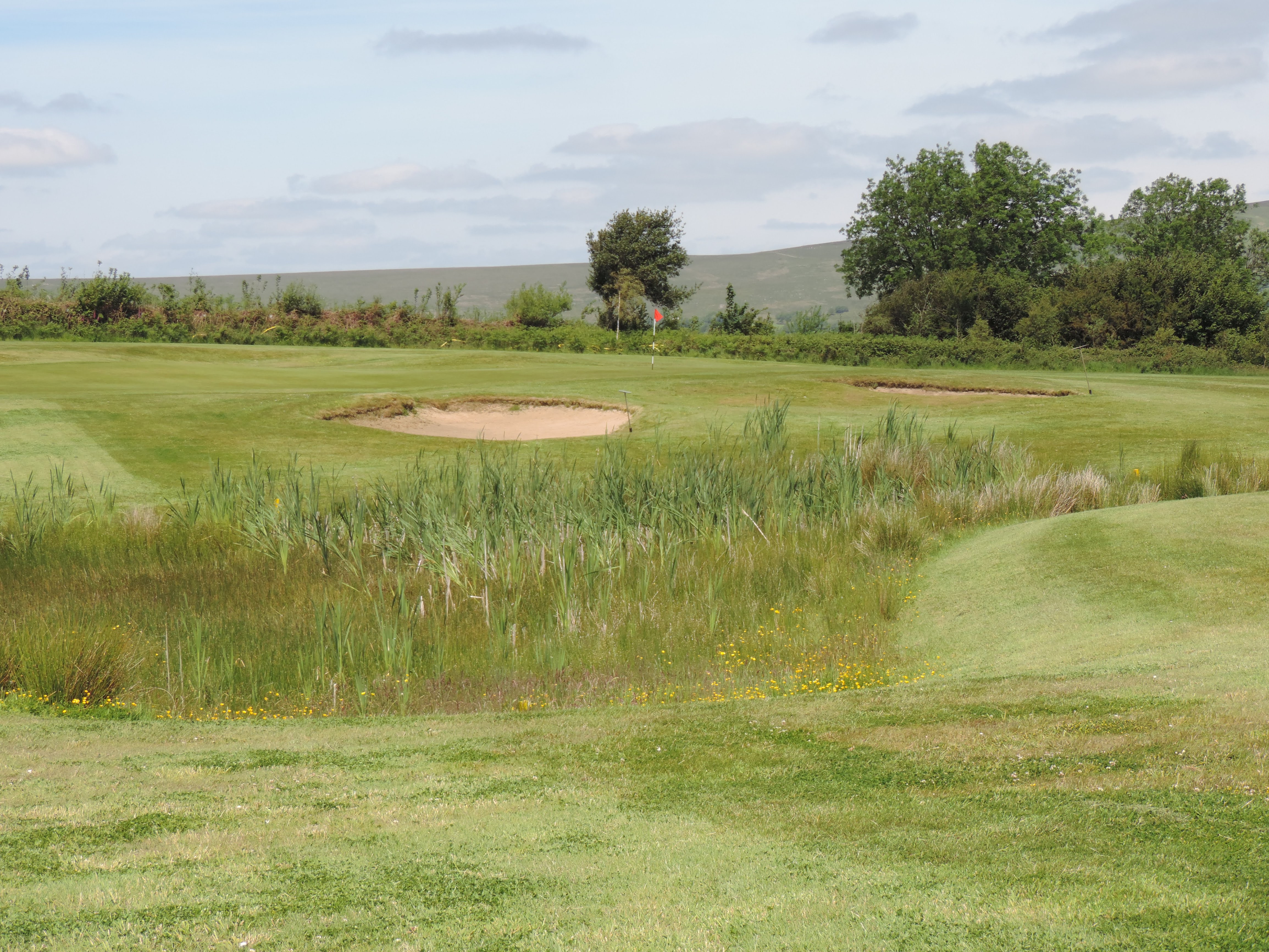 Hole 5 Fairway