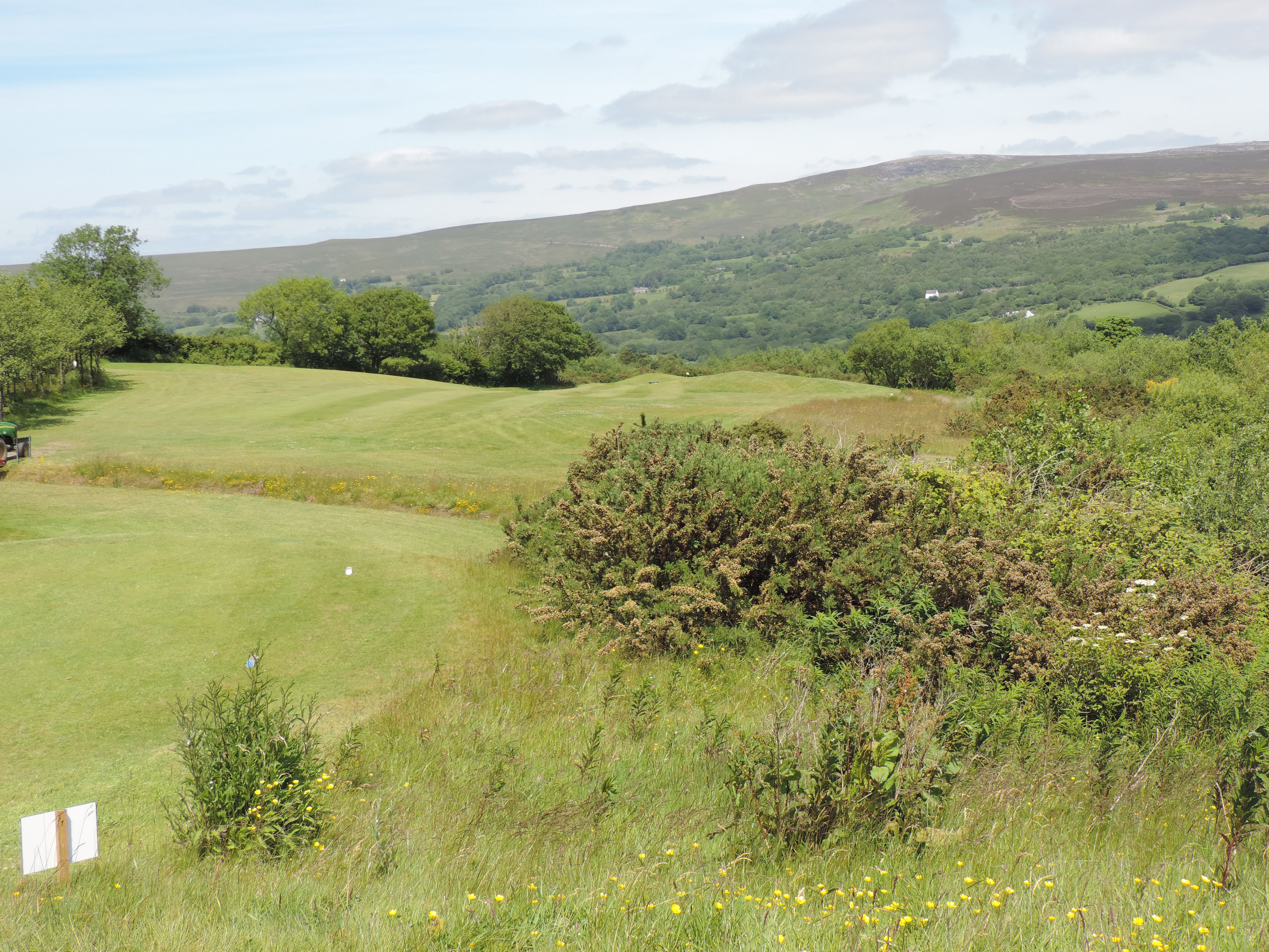 Hole 6 Tee Box