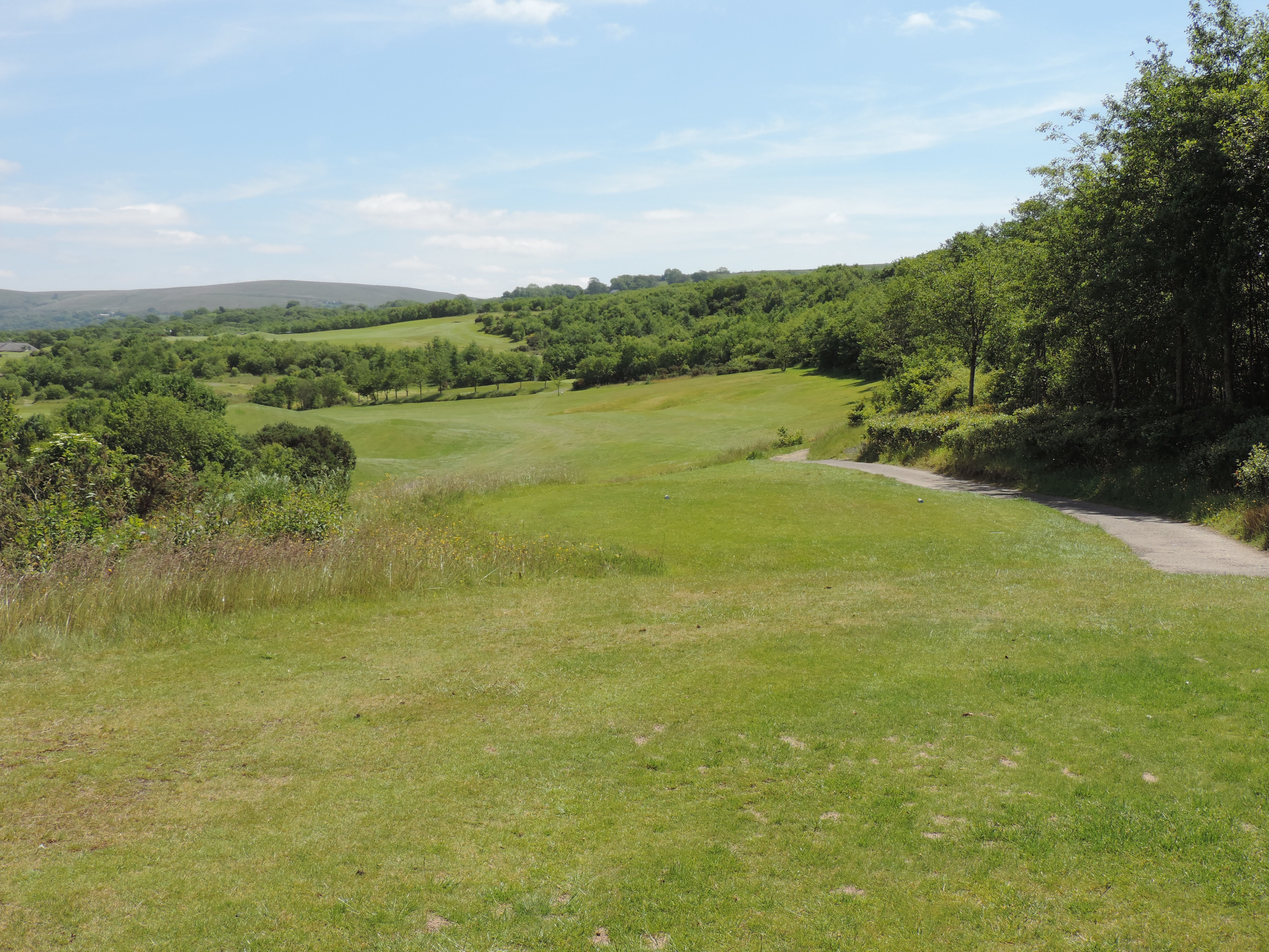 Hole 7 Tee Box