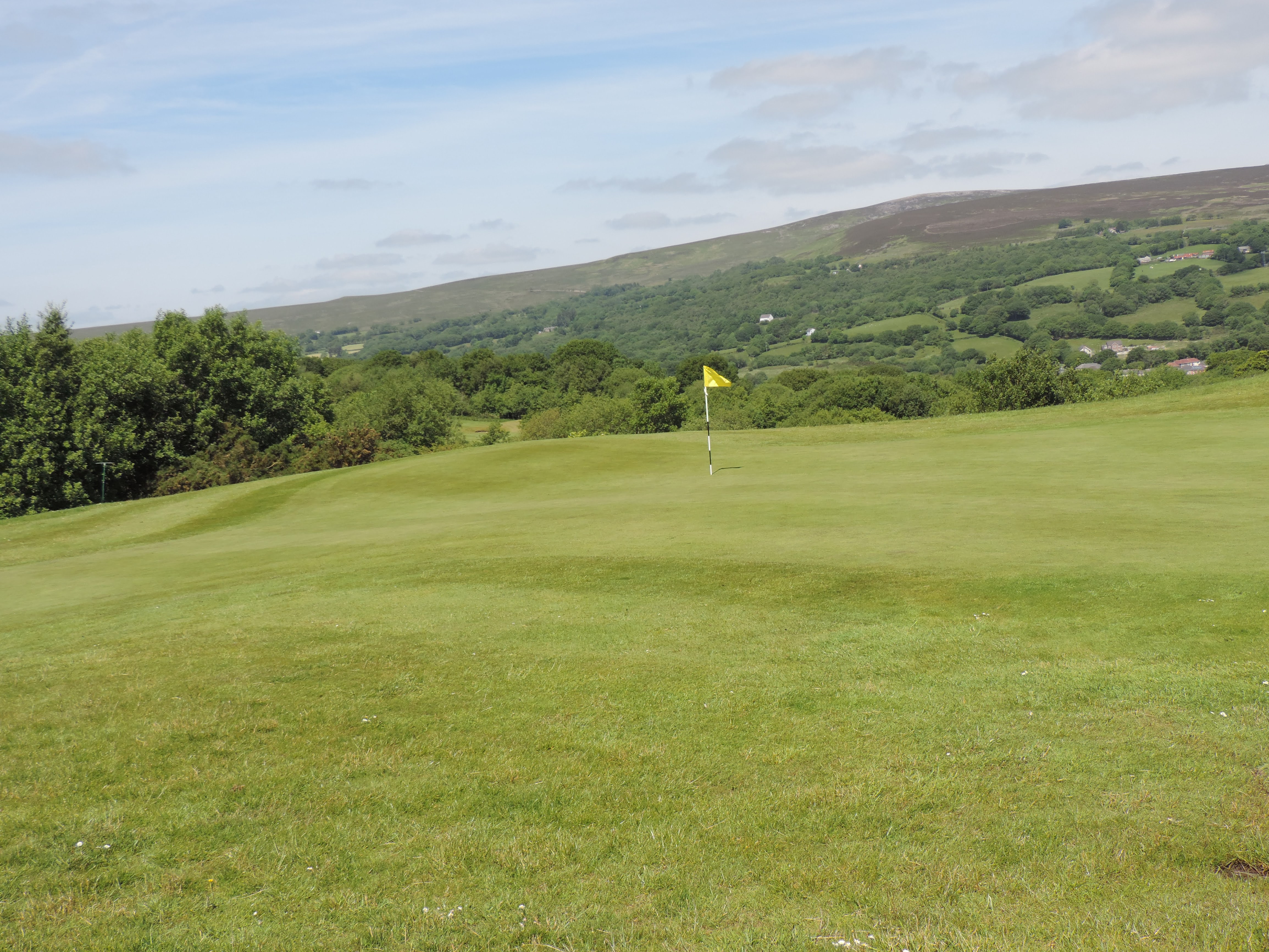 Hole 7 Green